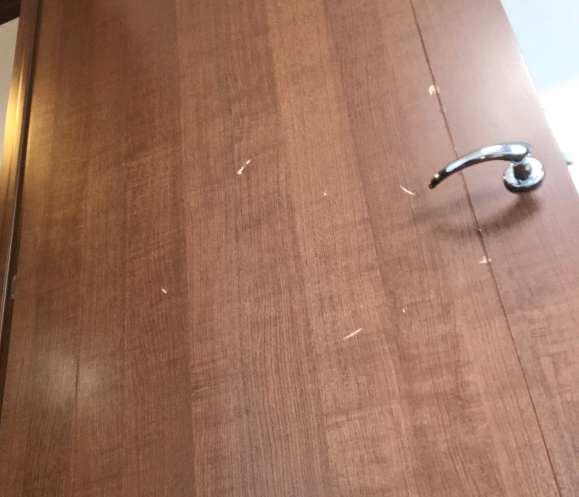 建具の面材の傷リペア 賃貸の退去後 部屋の傷補修とリペア専門 ジェネシス 建具の面材の傷リペア 賃貸の退去後 部屋の傷補修とリペア専門 ジェネシス